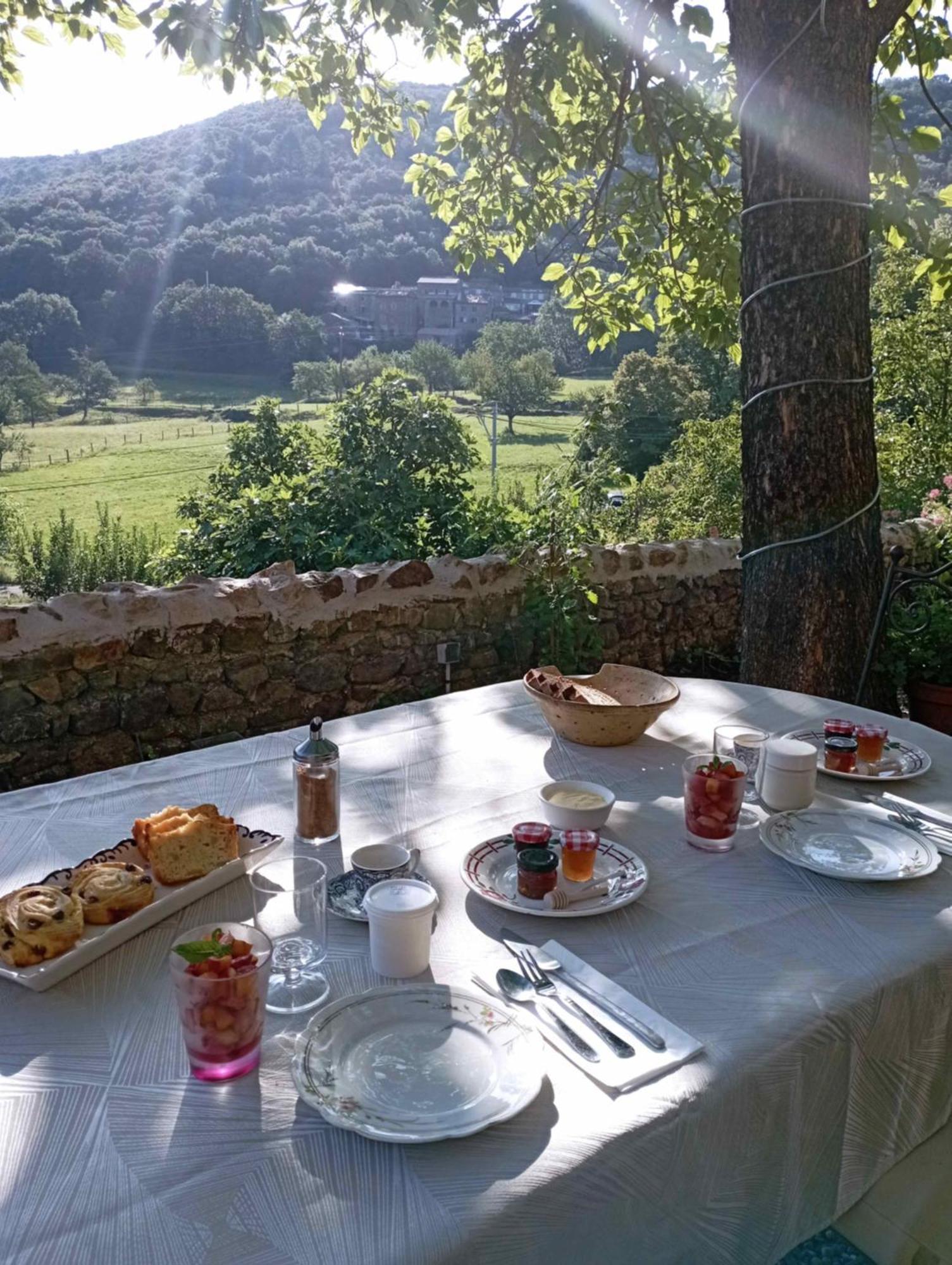 Chambre D'Hote Dans Mas Proche Anduze Cevennes Avec Piscine Mialet  エクステリア 写真