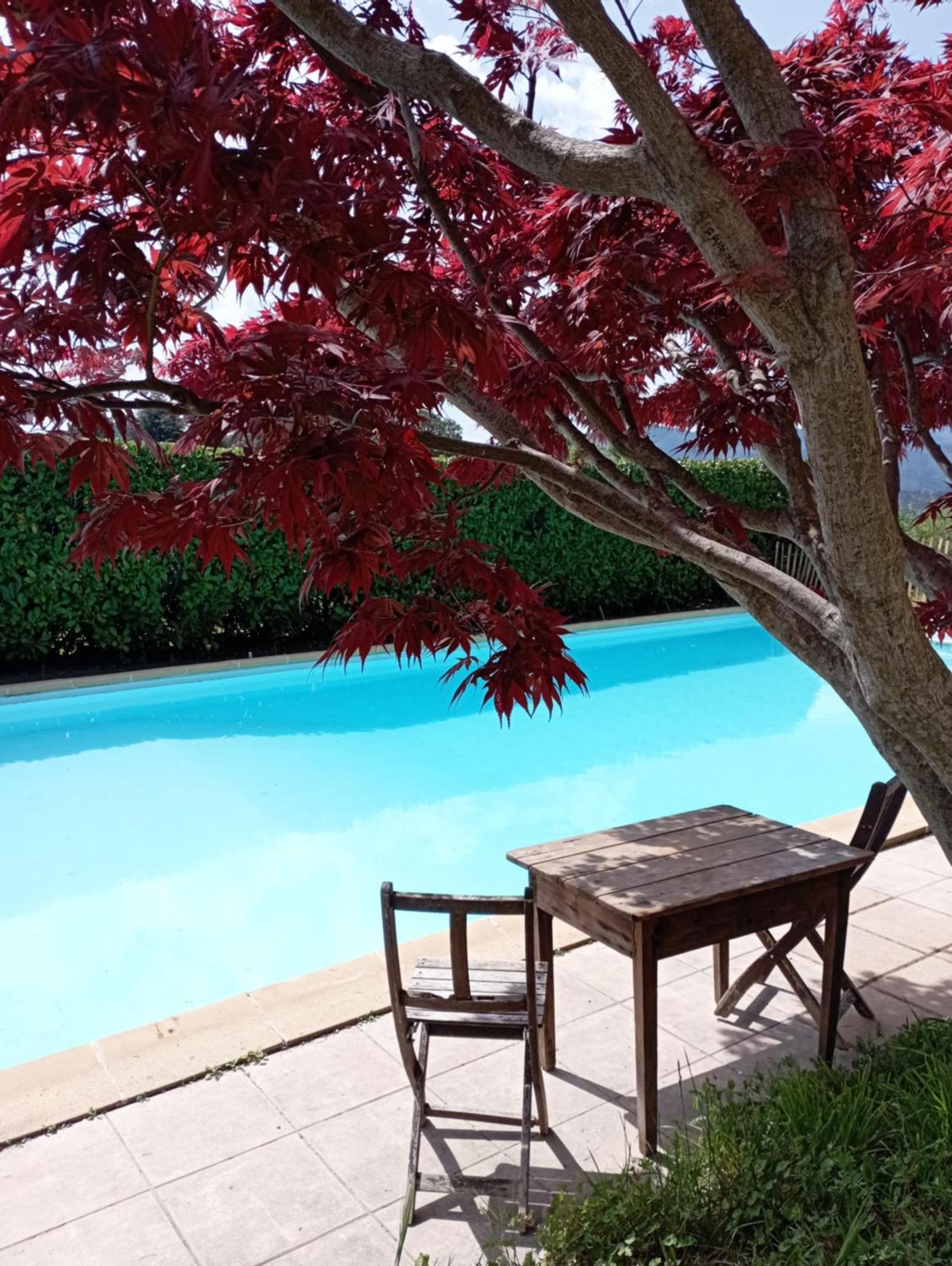 Chambre D'Hote Dans Mas Proche Anduze Cevennes Avec Piscine Mialet  エクステリア 写真