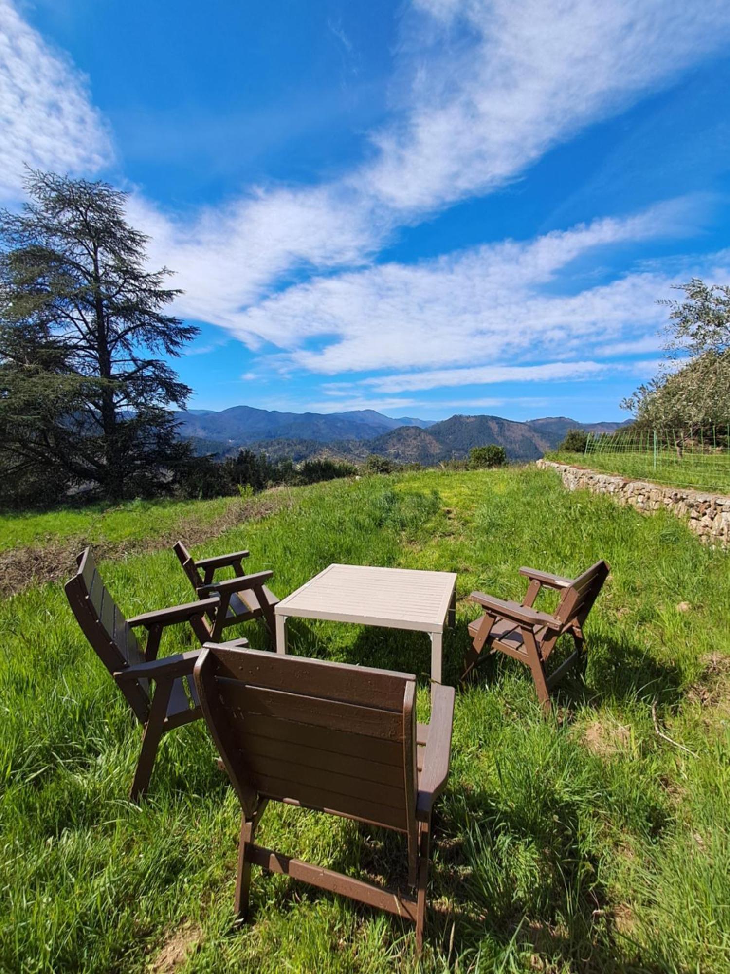 Chambre D'Hote Dans Mas Proche Anduze Cevennes Avec Piscine Mialet  エクステリア 写真