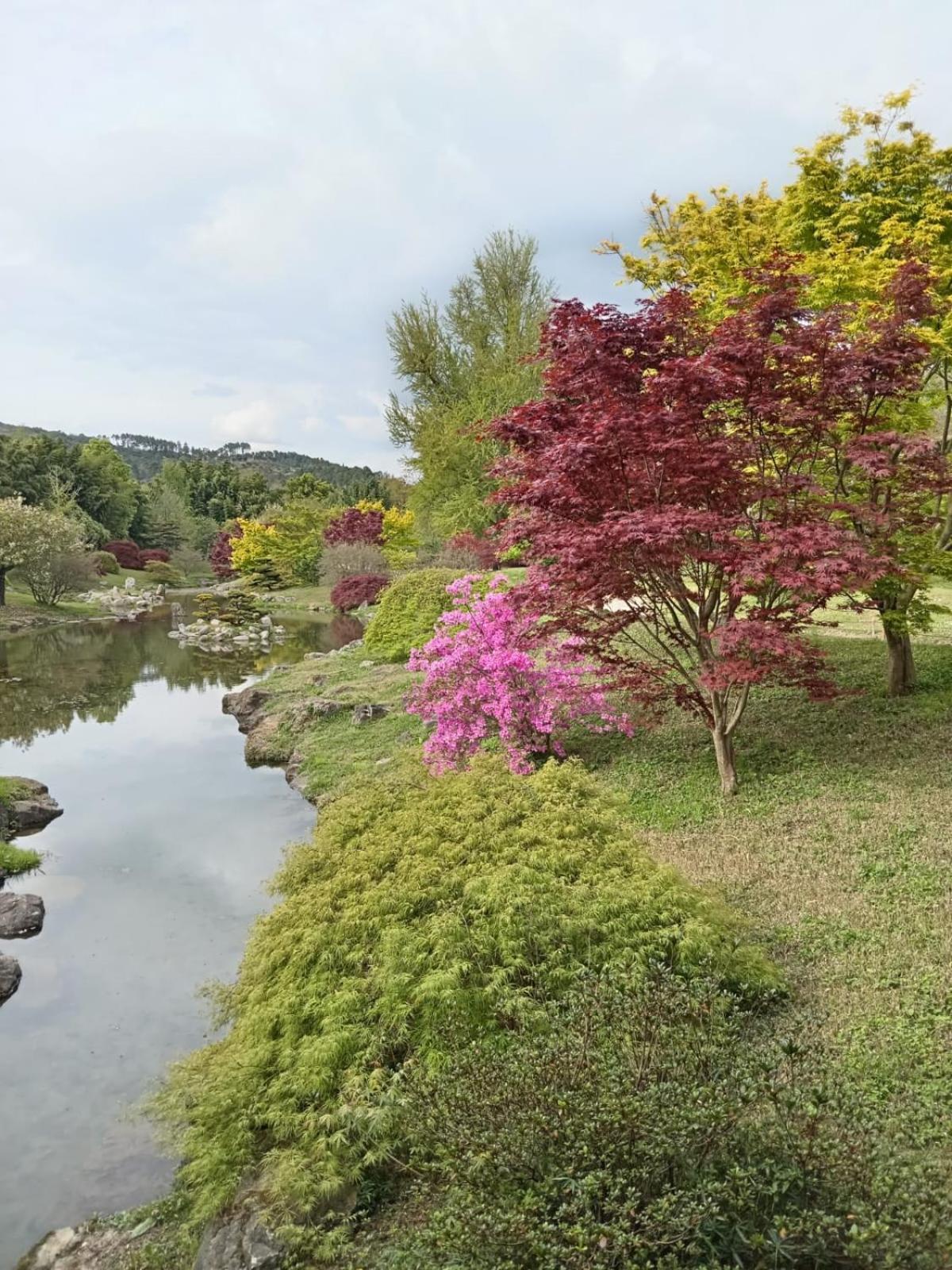 Chambre D'Hote Dans Mas Proche Anduze Cevennes Avec Piscine Mialet  エクステリア 写真